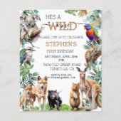 Australisch dier wild een verjaardag kangoeroe (Voorkant)