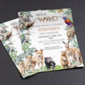 Australisch dier wild een verjaardag kangoeroe