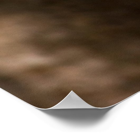 Australisch dingo-poster poster (Hoek)