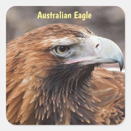 Australisch Eagle-profiel Vierkante Sticker (Voorkant)