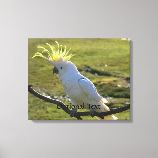 Australisch Geel Sulfur Crested Cockato Canvas Afdruk (Voorkant)