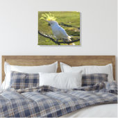 Australisch Geel Sulfur Crested Cockato Canvas Afdruk (Insitu (Slaapkamer))