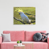 Australisch Geel Sulfur Crested Cockato Canvas Afdruk (Insitu (Woonkamer))