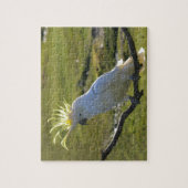 Australisch Geel Sulfur Crested Cockato Legpuzzel (Verticaal)