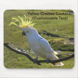 Australisch Geel Sulfur Crested Cockato Muismat