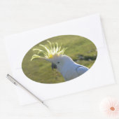 Australisch Geel Sulfur Crested Cockato Ovale Sticker (Envelop)