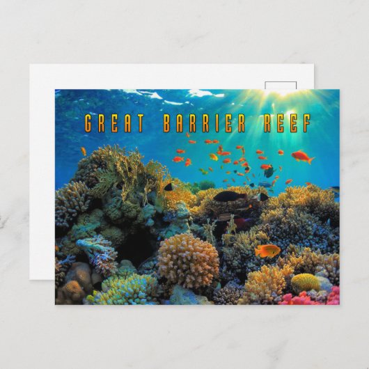 Australisch Great Barrier Reef gestileerd Briefkaart (Voorkant / Achterkant)