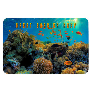 Australisch Great Barrier Reef gestileerd Magneet