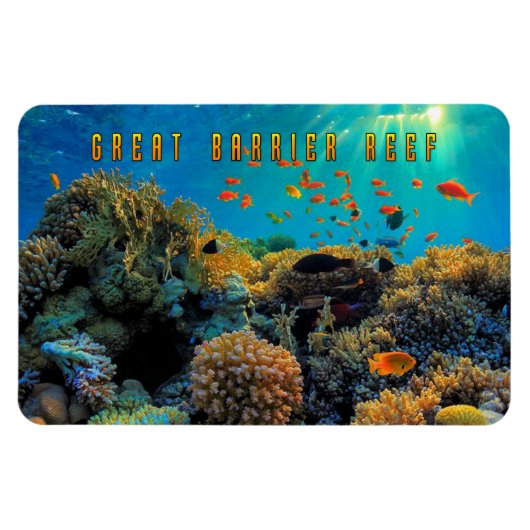 Australisch Great Barrier Reef gestileerd Magneet (Horizontaal)