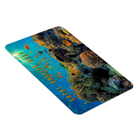 Australisch Great Barrier Reef gestileerd Magneet (Rechterzijde)