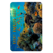 Australisch Great Barrier Reef gestileerd Magneet (Verticaal)