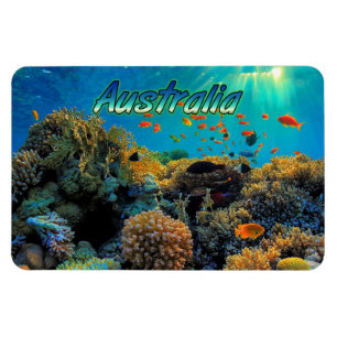 Australisch Great Barrier Reef gestileerd Magneet