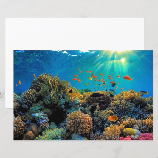 Australisch Great Barrier Reef gestileerd papier (Voorkant / Achterkant)