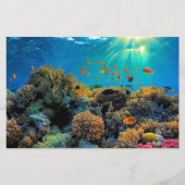 Australisch Great Barrier Reef gestileerd papier (Voorkant)