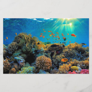 Australisch Great Barrier Reef gestileerd papier