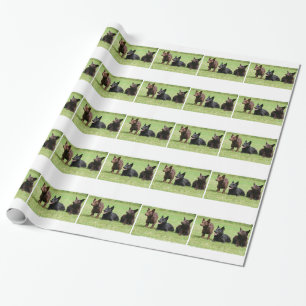 Australisch Kelpie Puppies Cadeaupapier