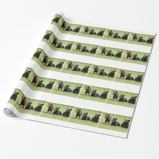 Australisch Kelpie Puppies Cadeaupapier (Uitgerold)