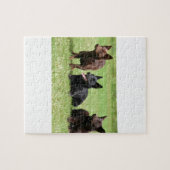 Australisch Kelpie Puppies Legpuzzel (Horizontaal)