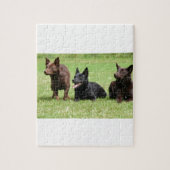 Australisch Kelpie Puppies Legpuzzel (Verticaal)