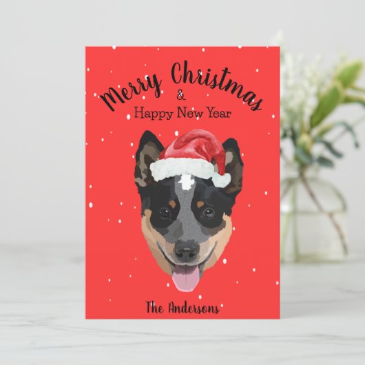 Australisch kerstfeest bij katten feestdagenkaart (Staand voorkant)