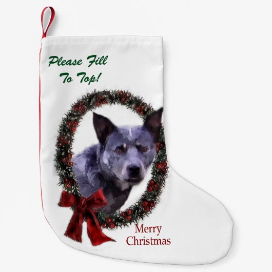 Australisch kerstfeest bij katten kleine kerstsok (Voorkant)