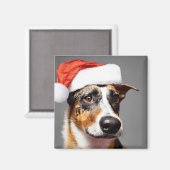 Australisch kerstfeest bij katten magneet (Voorkant / Achterkant)