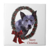 Australisch kerstfeest bij katten tegeltje (Voorkant)