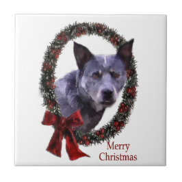 Australisch kerstfeest bij katten tegeltje