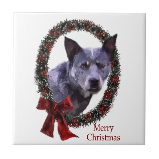 Australisch kerstfeest bij katten tegeltje (Voorkant)