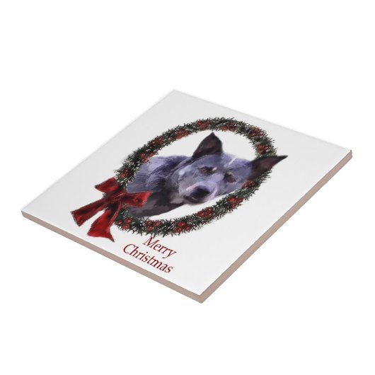 Australisch kerstfeest bij katten tegeltje (Zijkant)