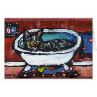 Australisch koeienbad