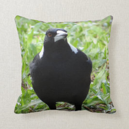 Australisch Magpie Kussen
