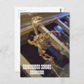 Australisch Museum in Sydney Australië Briefkaart (Voorkant / Achterkant)