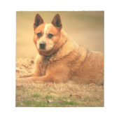 Australisch Notitieblok van de rode hond (Voorkant)