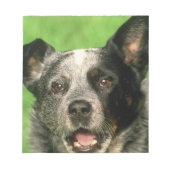 Australisch Notitieblok van kattenhonden (Voorkant)