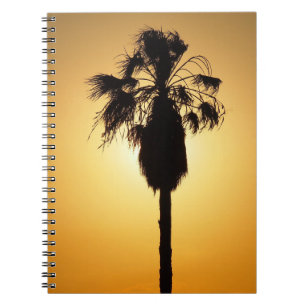 Australisch notitieboek van de Palm-eilanden