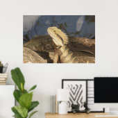 Australisch-oostwaterdraak Poster (Thuiskantoor)