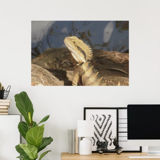 Australisch-oostwaterdraak Poster (Thuiskantoor)