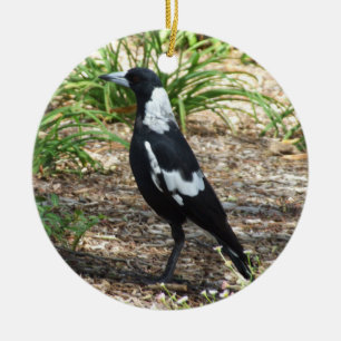 Australisch Ornament Magpie