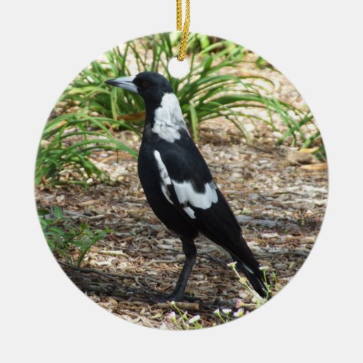 Australisch Ornament Magpie (Voorkant)