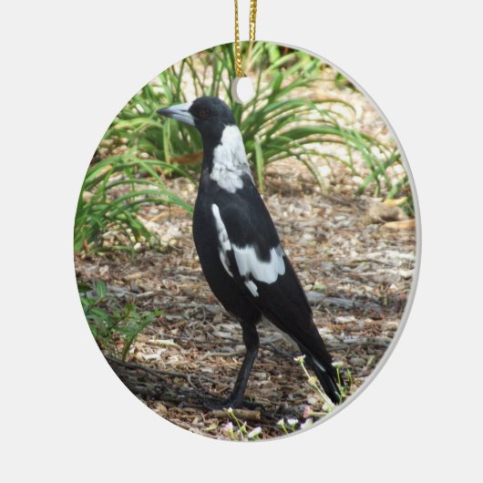 Australisch Ornament Magpie (Links)