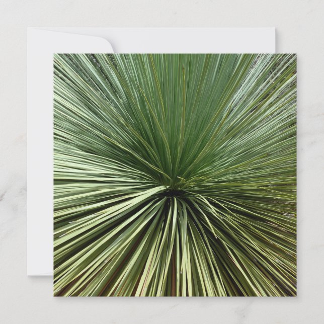 Australisch Plant - abstract (Voorkant)