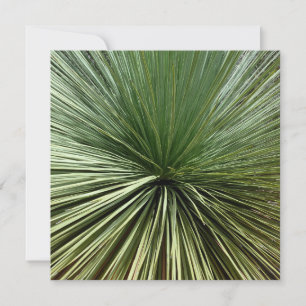 Australisch Plant - abstract