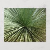 Australisch Plant - abstract (Voorkant)