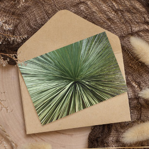 Australisch Plant - abstract