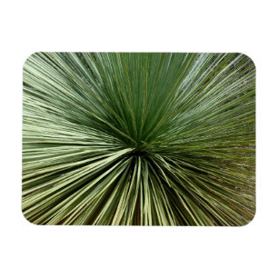 Australisch Plant - abstract Magneet