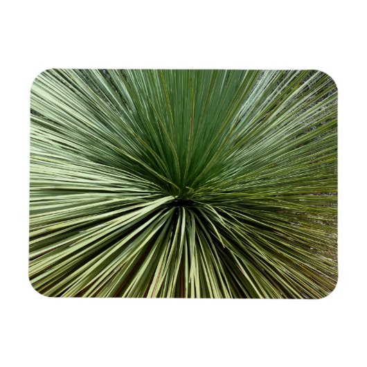Australisch Plant - abstract Magneet (Horizontaal)