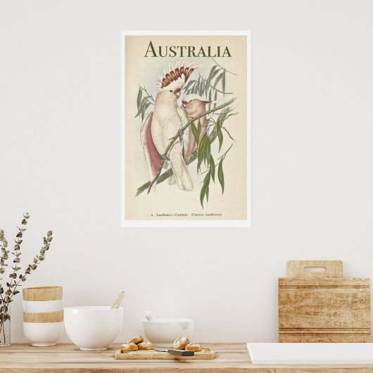  Australisch Poster Galah (Keuken)