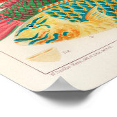 Australisch Poster van de Grote Barrier Reef (Hoek)