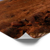 Australisch Poster voor lijnvluchtuitvoeringen (Hoek)